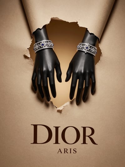 Christian Dior Luxury Jewelry Showcase