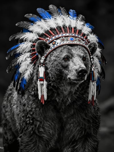 Native American Bear Headdress